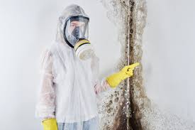 Best Residential Mold Inspection & Testing  in Sahuarita, AZ